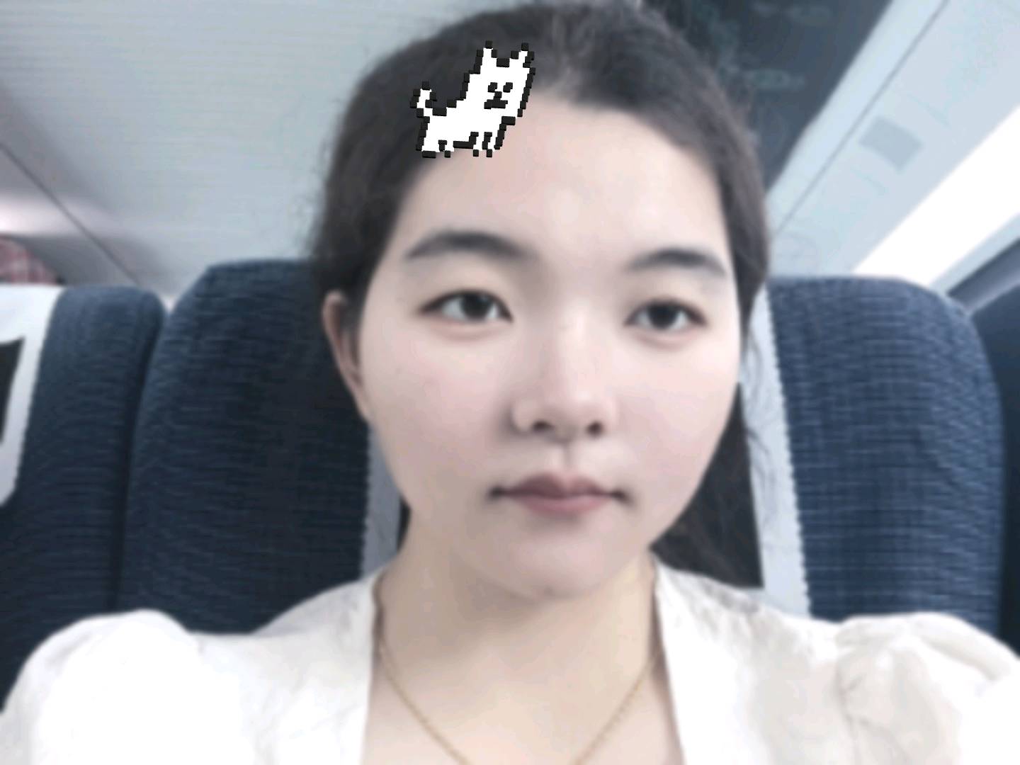 韦女士头像